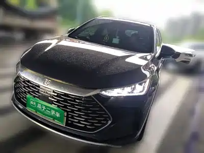 BYD Tang New Energy 2024