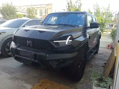 Mengshi 917 2024