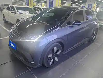 BYD Dolphin 2024