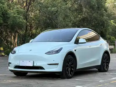 Tesla Model Y 2021