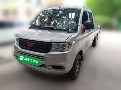 Wuling Motors Rongguang New Truck 2020