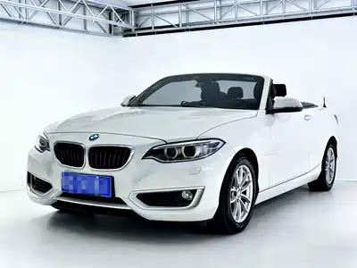 BMW 2 Series (Import) 2015