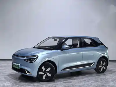 Dongfeng Yipai Nano 01 2024