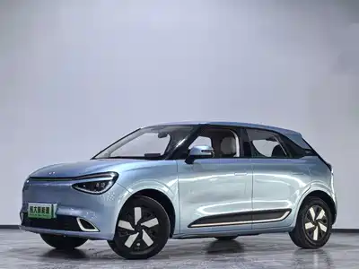 Dongfeng Yipai Nano 01 2024