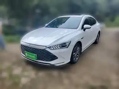 BYD Qin PLUS 2021
