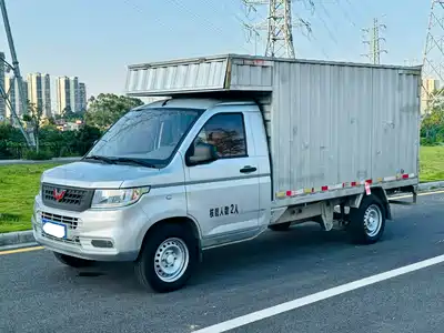 Wuling Motors Rongguang New Truck 2022
