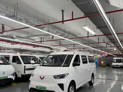 Wuling Motors Yangguang 2024