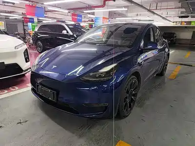 Tesla Model Y 2021