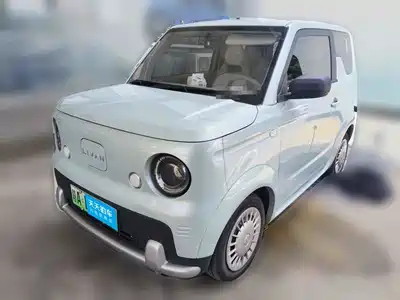 Ruilan Auto Blue Elf 2025