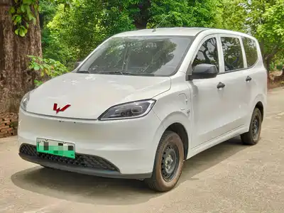 Wuling Motors Hongguang New Energy 2025