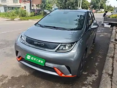 BYD Dolphin 2022