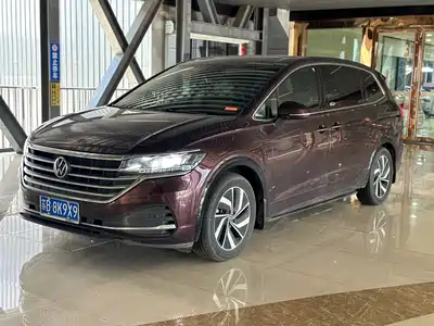 Volkswagen Viloran 2021