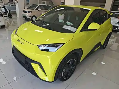 BYD Seagull 2024