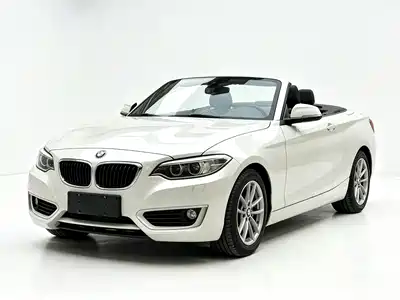 BMW 2 Series (Import) 2016