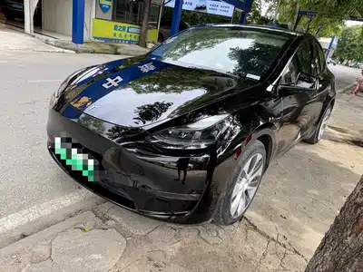 Tesla Model Y 2021