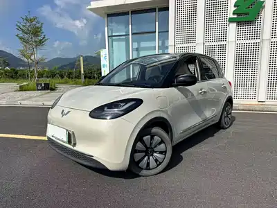Wuling Motors Bingo 2024