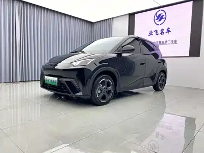 BYD Seagull 2024