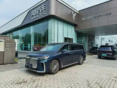 Voyah Auto Dreamer 2025