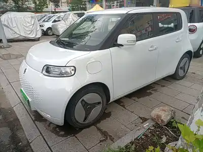 Ora White Cat 2020