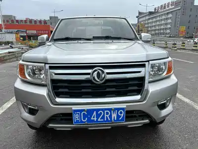 Dongfeng Ruiqi 2021