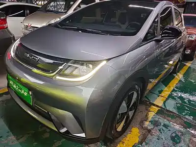 BYD Dolphin 2024
