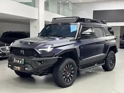 Mengshi 917 2025