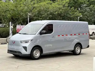 Wuling Motors Yangguang 2025