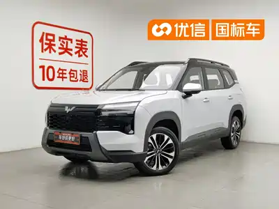 Wuling Motors Starlight 560 NEV 2025