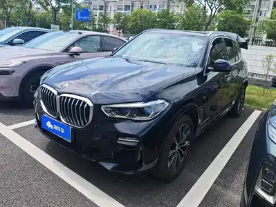 BMW X5 New Energy(Imported) 2021