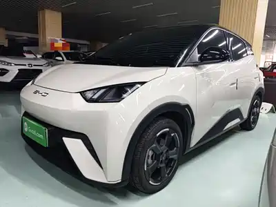 BYD Seagull 2023