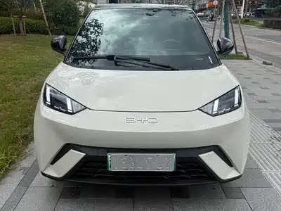 BYD Seagull 2025
