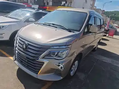 Dongfeng Fengxing Lingzhi 2025