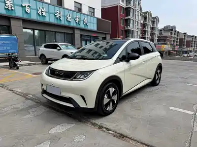 BYD Dolphin 2024