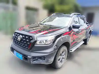 Dongfeng Rich 6 Pro 2025