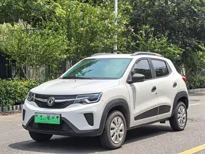 Dongfeng Yipai Nano EX1 2021