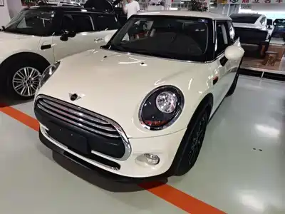 MINI MINI 2018