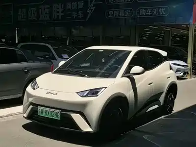 BYD Seagull 2025