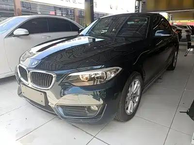 BMW 2 Series (Import) 2016
