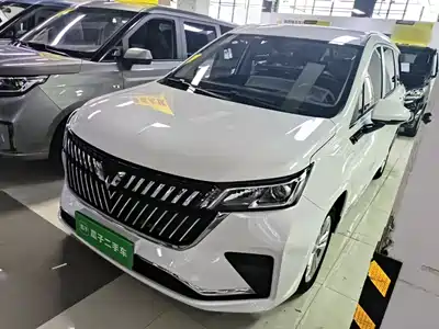 Wuling Motors Jiachen 2023