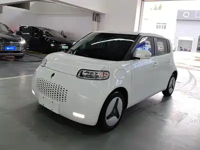 Ora White Cat 2020