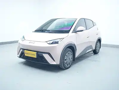 BYD Seagull 2024