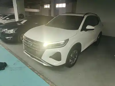 GAC Trumpchi GS4 2020