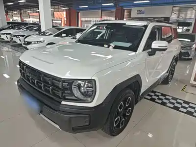 Haval Cool Dog 2023