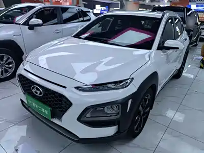 Hyundai ENCINO 2018