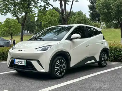 BYD Seagull 2024