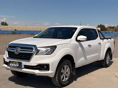 Dongfeng Rich 6 2022