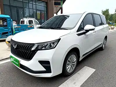 Wuling Motors Jiachen 2025