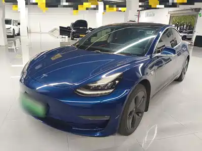 Tesla Model 3 (Import) 2019