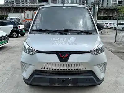 Wuling Motors EV50 2022