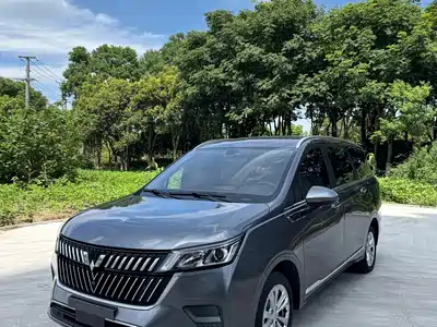 Wuling Motors Jiachen 2023